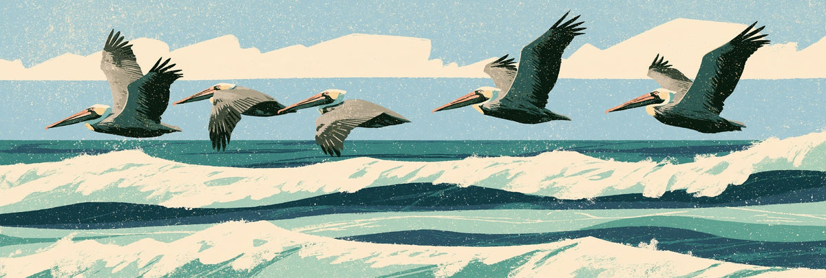 Five brown pelicans flying above layered teal waves and cream breakers beneath a pale blue sky