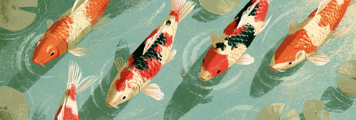 Lily Pad Edges — Koi Pond Canvas Wall Art