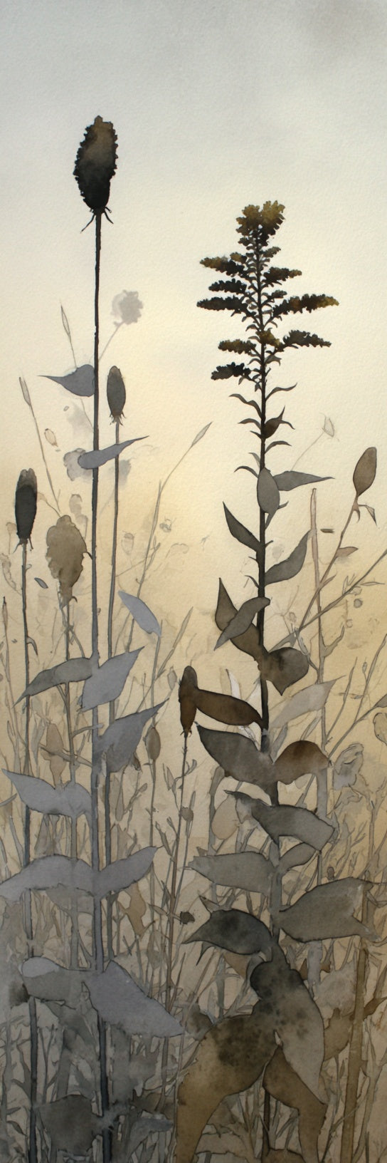 Botanical Wildflower Meadow Canvas Print