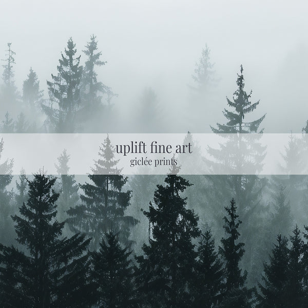 Toile murale Misty Pines