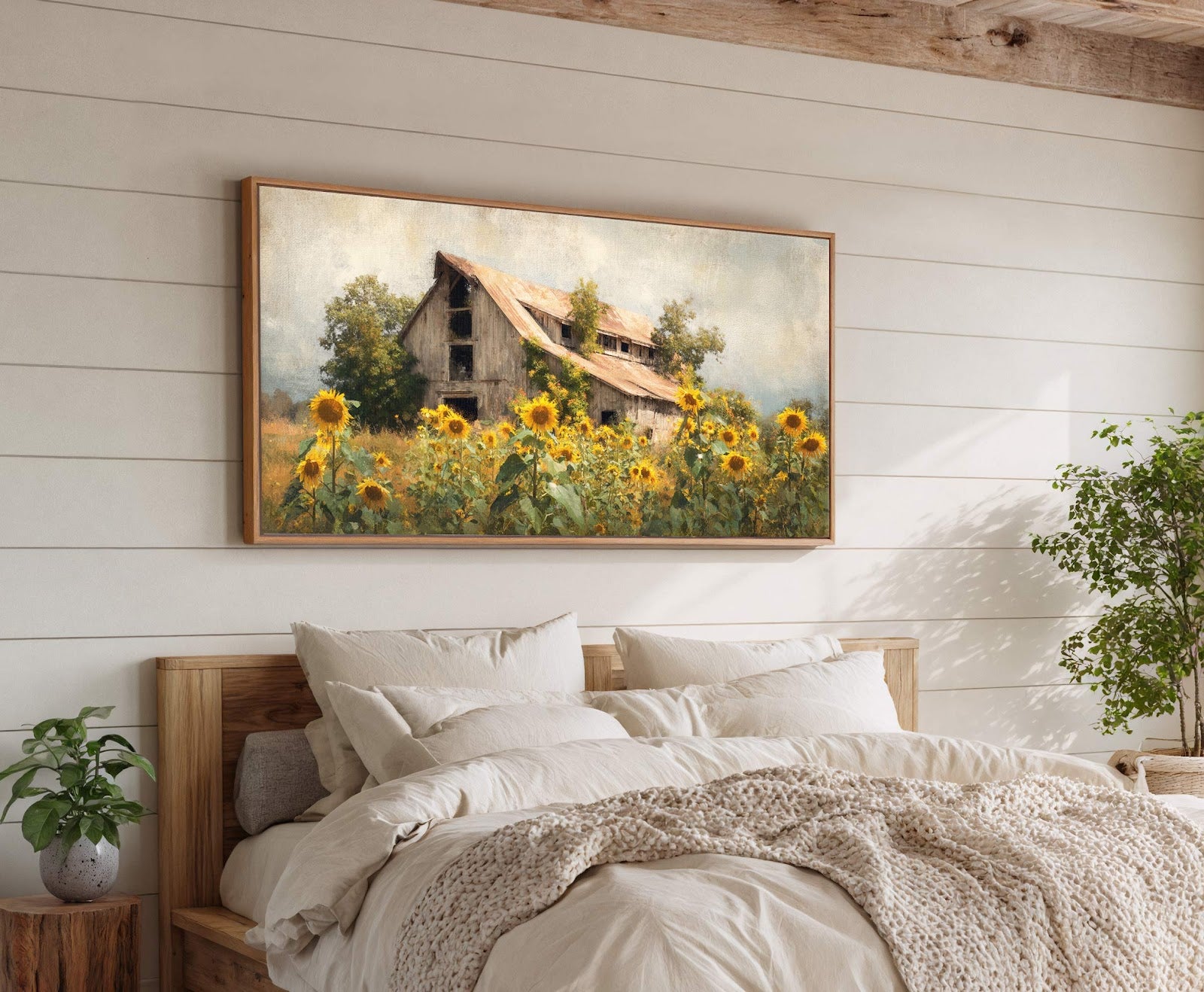 Barn Sunflowers Canvas Print