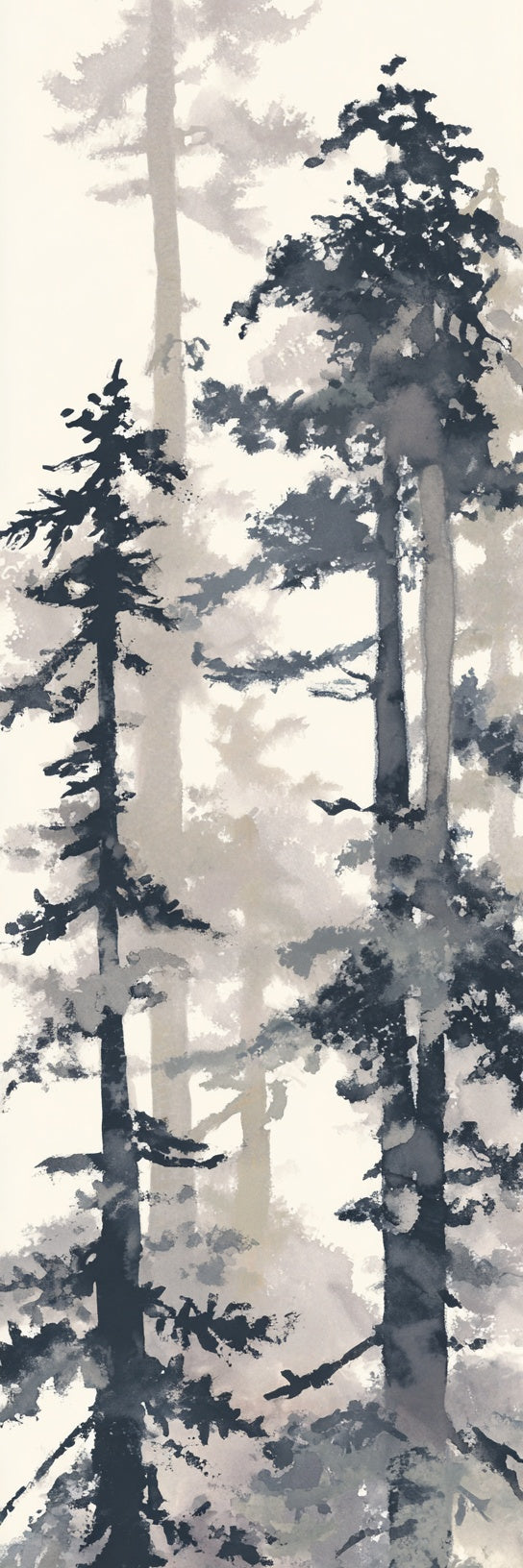 Impression sur toile Forêt de pins embrumée