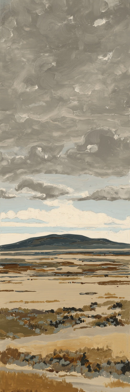 Moody Overcast Prairie Canvas Print