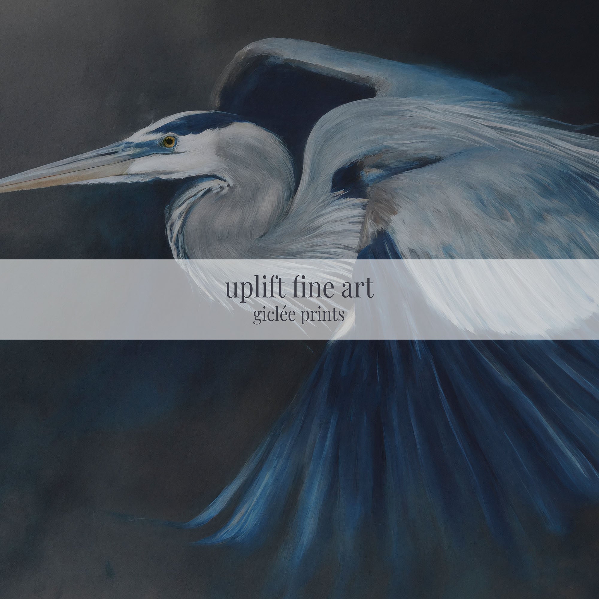 Great Blue Heron Canvas Wall Art