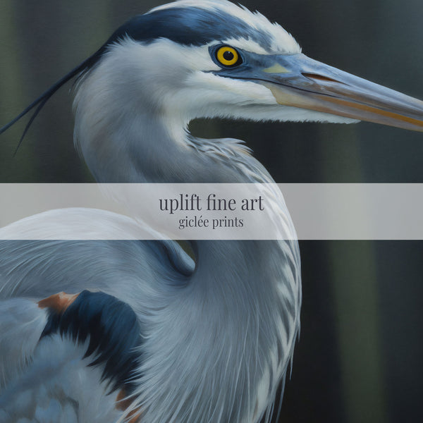 Blue Heron Portrait Canvas Art Print