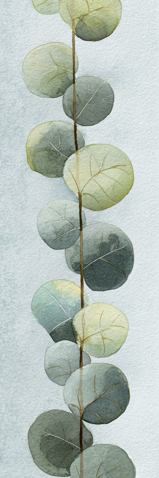 Eucalyptus Leaves Botanical Canvas Print