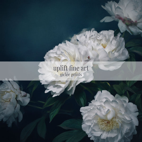 White Peony Moody Wall Art Print