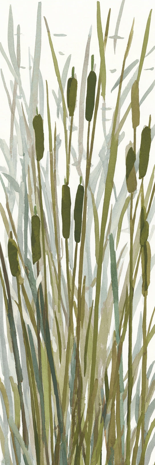 Cattail Marsh Reed Watercolor Canvas Print