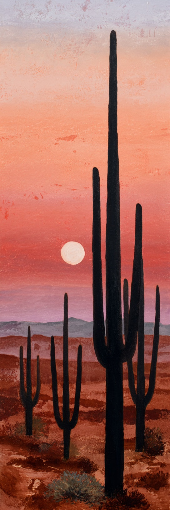 Saguaro Desert Sunset Landscape Canvas Print