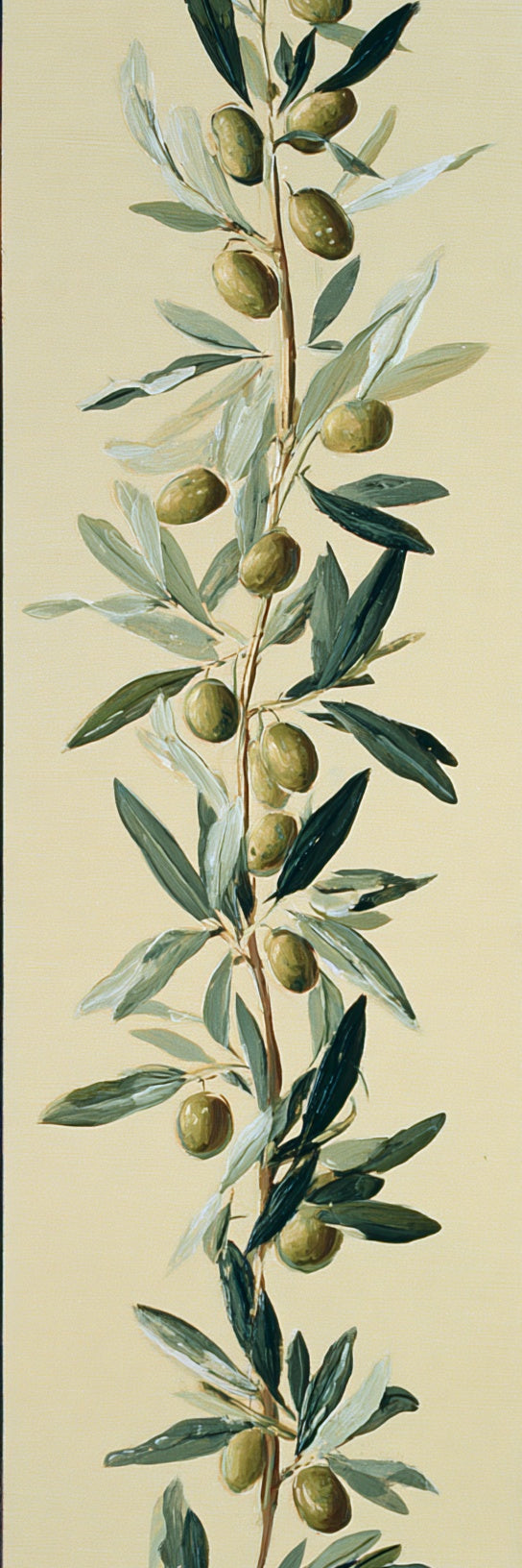Olive Branch Botanical Canvas Print