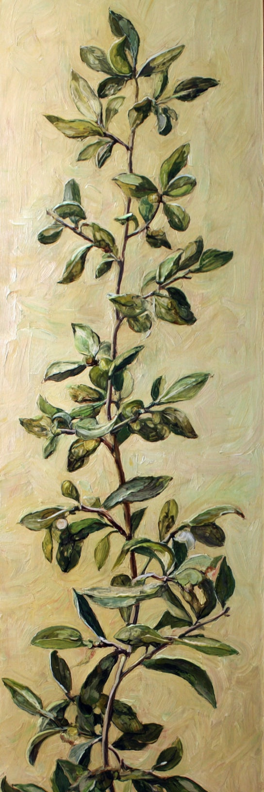 Green Foliage Branch Canvas Print