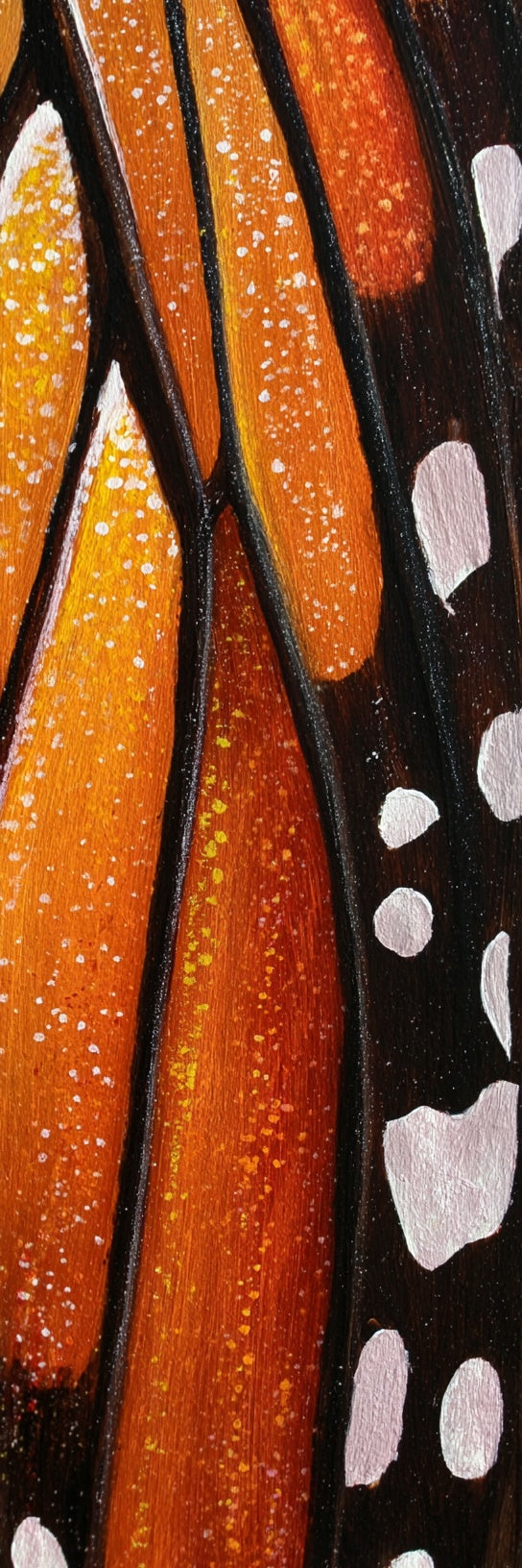 Monarch Butterfly Wing Macro Canvas Print