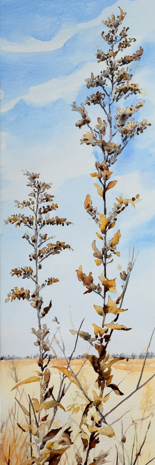 Impression sur toile botanique - Prairie d'automne