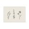 Three delicate line drawings of wildflowers stand against a creamy background. Each botanical specimen is meticulously detailed, suggesting a vintage field guide illustration.