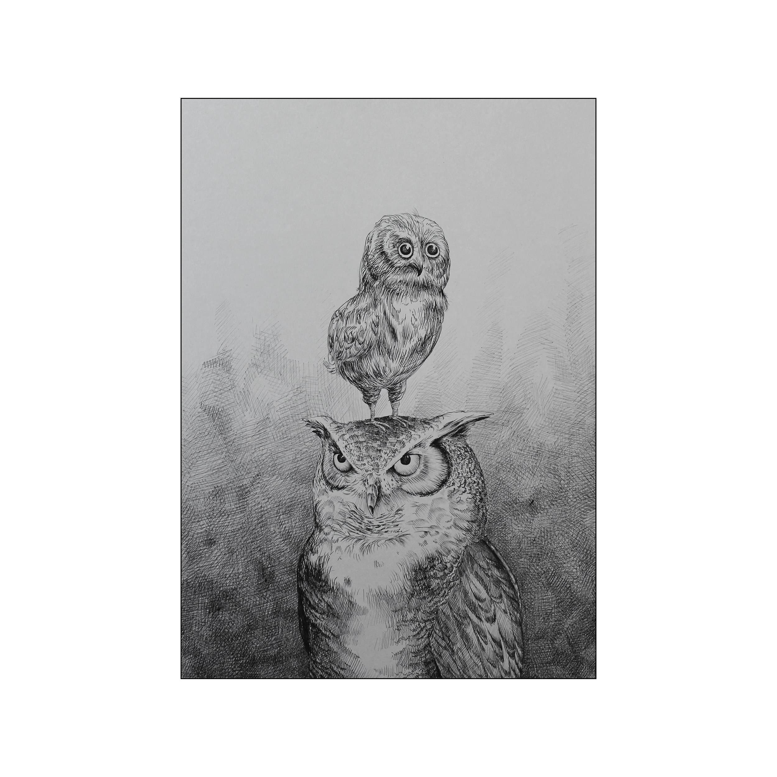 A striking black and white sketch of a large father owl with a small owlet perched on its head, rendered with detailed cross-hatching and conveying a sense of quiet companionship and watchful affection.