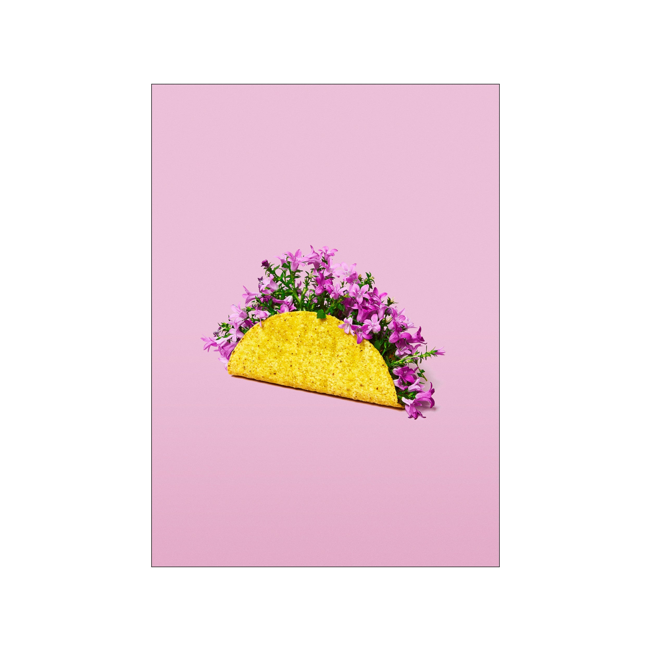 Yellow taco shell filled with pink flowers on a soft blush pink background