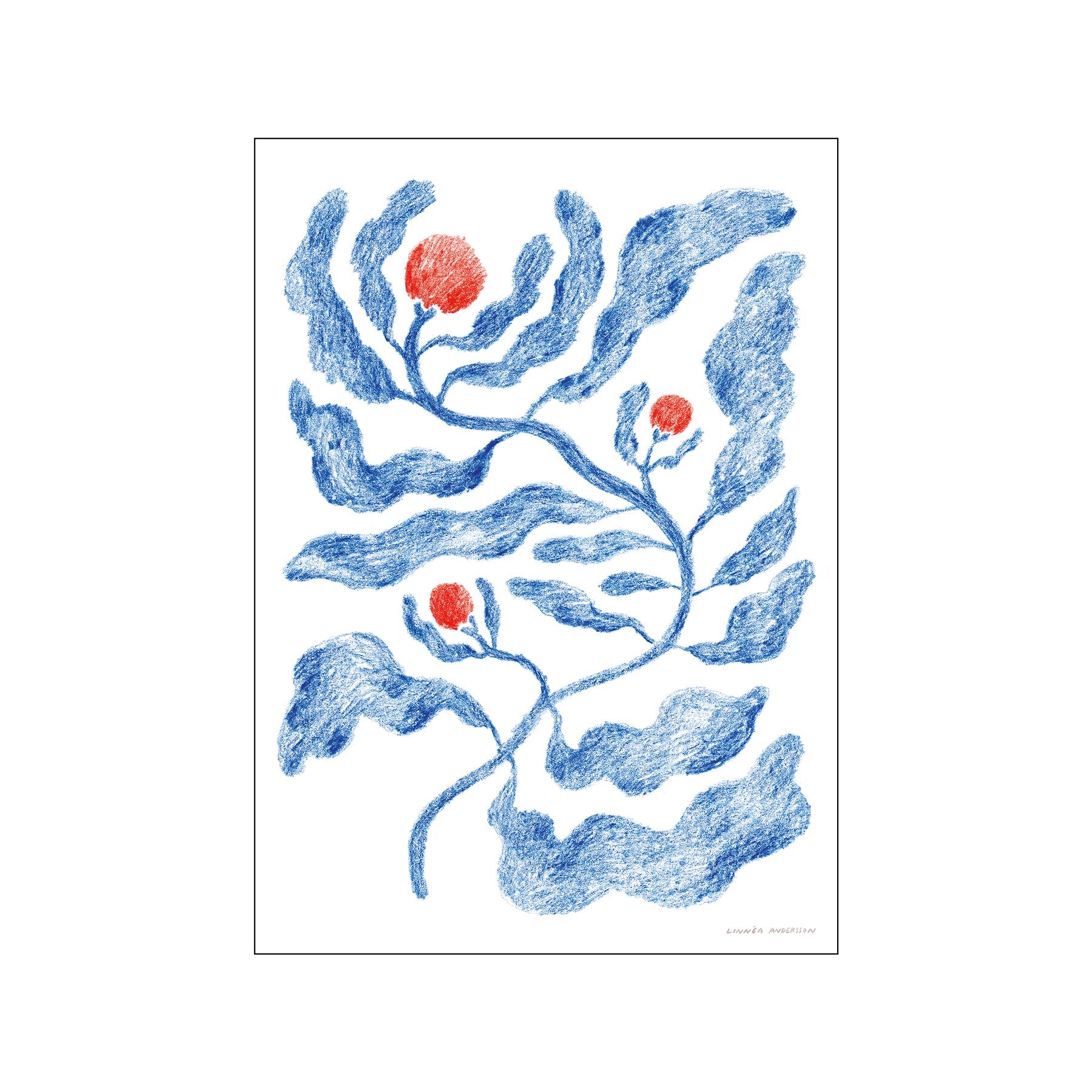 A stylized botanical illustration of a vine with blue, wavy leaves and branches, adorned with bright red berries. The artwork has a whimsical, hand-drawn quality.
