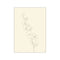 A delicate, monochromatic line drawing of an orchid branch with multiple blooms and buds against a soft, creamy beige background, evoking a sense of natural elegance and quiet sophistication.