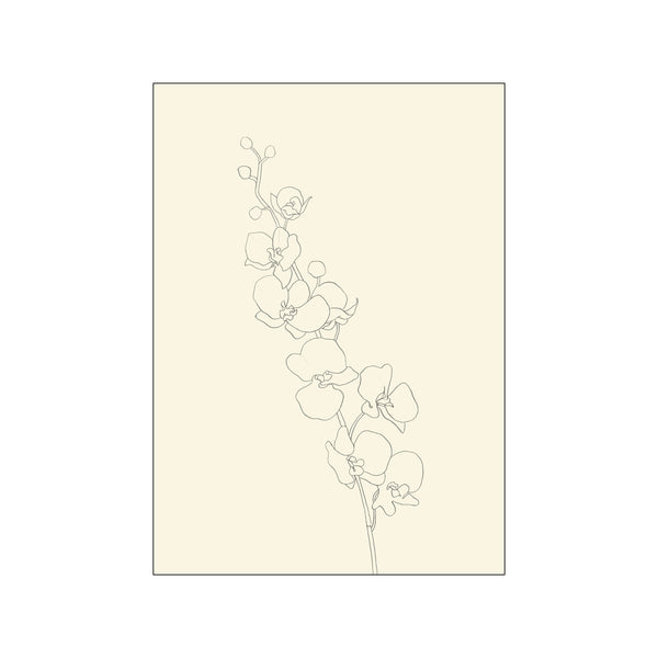 A delicate, monochromatic line drawing of an orchid branch with multiple blooms and buds against a soft, creamy beige background, evoking a sense of natural elegance and quiet sophistication.