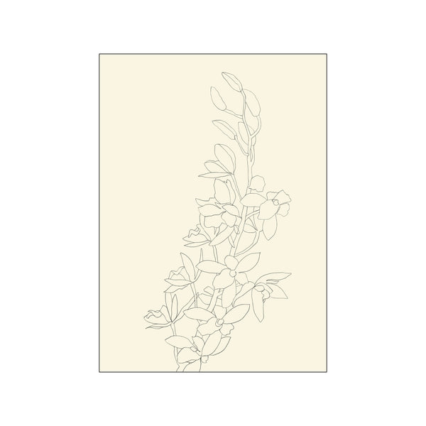 A delicate outline drawing of a blooming orchid stem with multiple flowers and buds on a soft cream background, conveying a tranquil and sophisticated natural vibe.