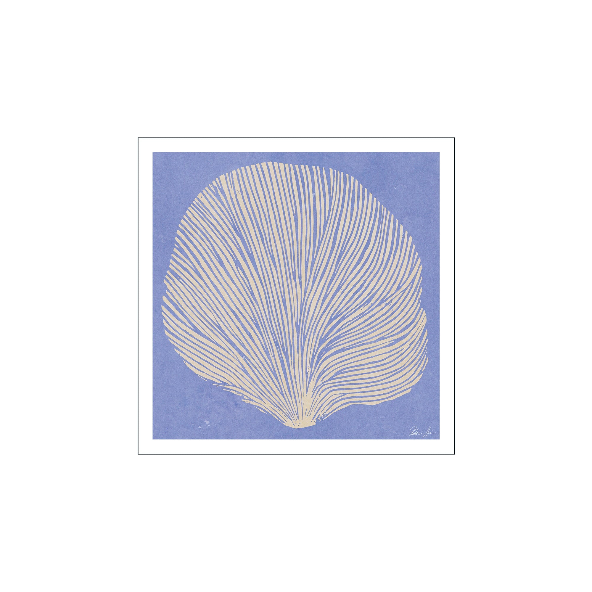An abstract artwork featuring delicate, flowing lines in cream against a textured periwinkle blue background, resembling a stylized fan or shell.