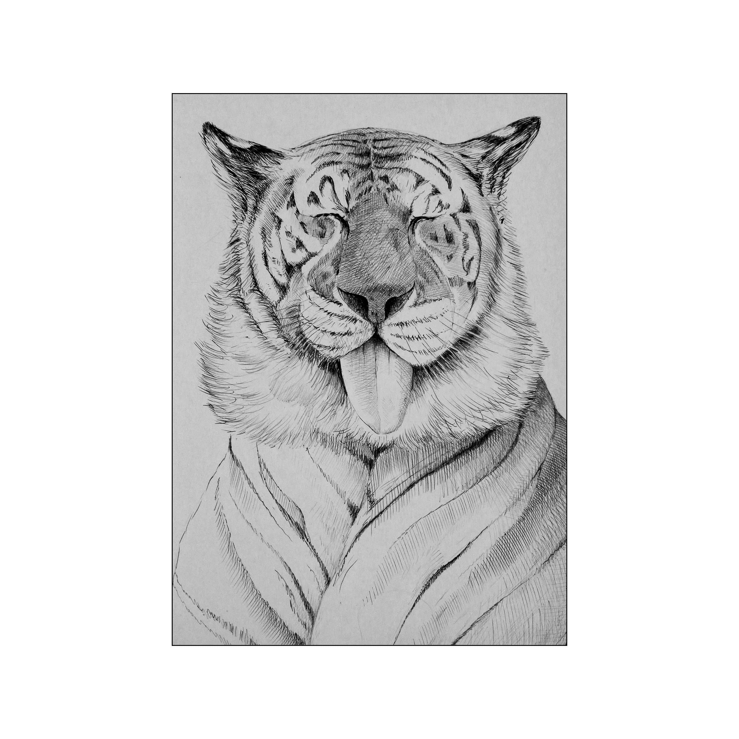 Close-up sketch of a tiger's face with its eyes closed and tongue playfully sticking out. Rendered in black and white with fine, expressive linework, it conveys a whimsical and intimate animal portrait.