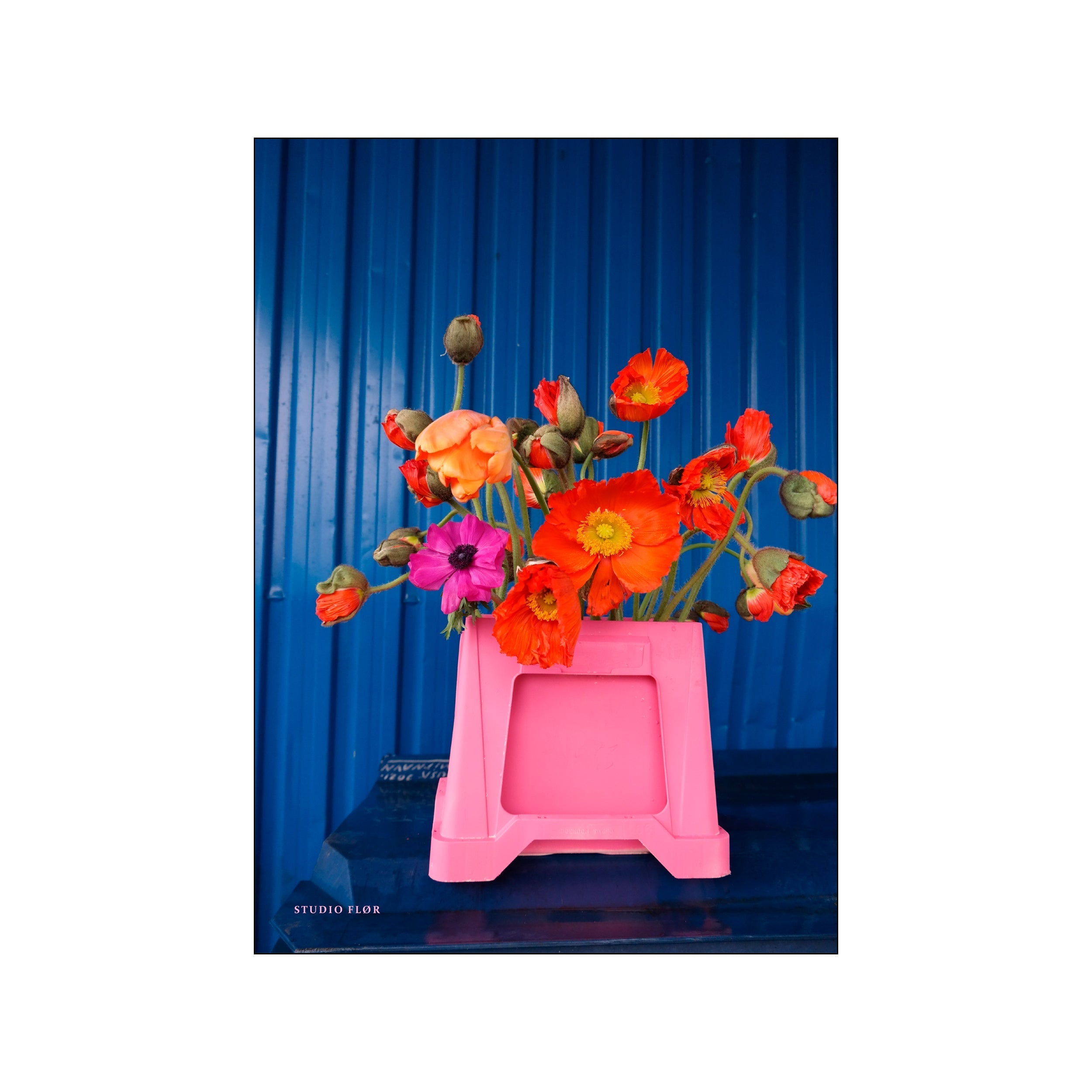 Vivid poppies and buds in a pink container against a deep blue corrugated background