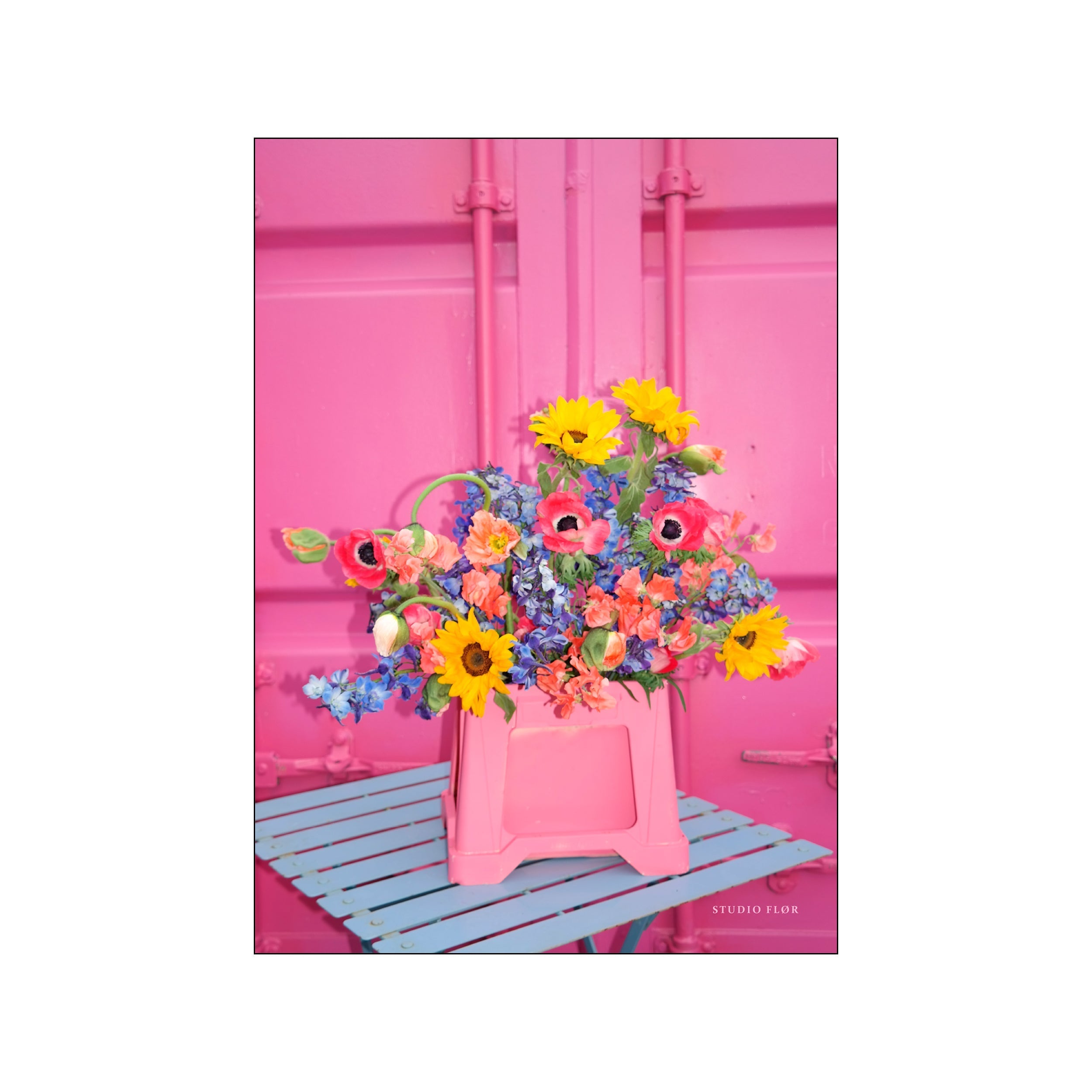 Colorful mixed bouquet with sunflowers and poppy-like blooms against a vivid pink backdrop