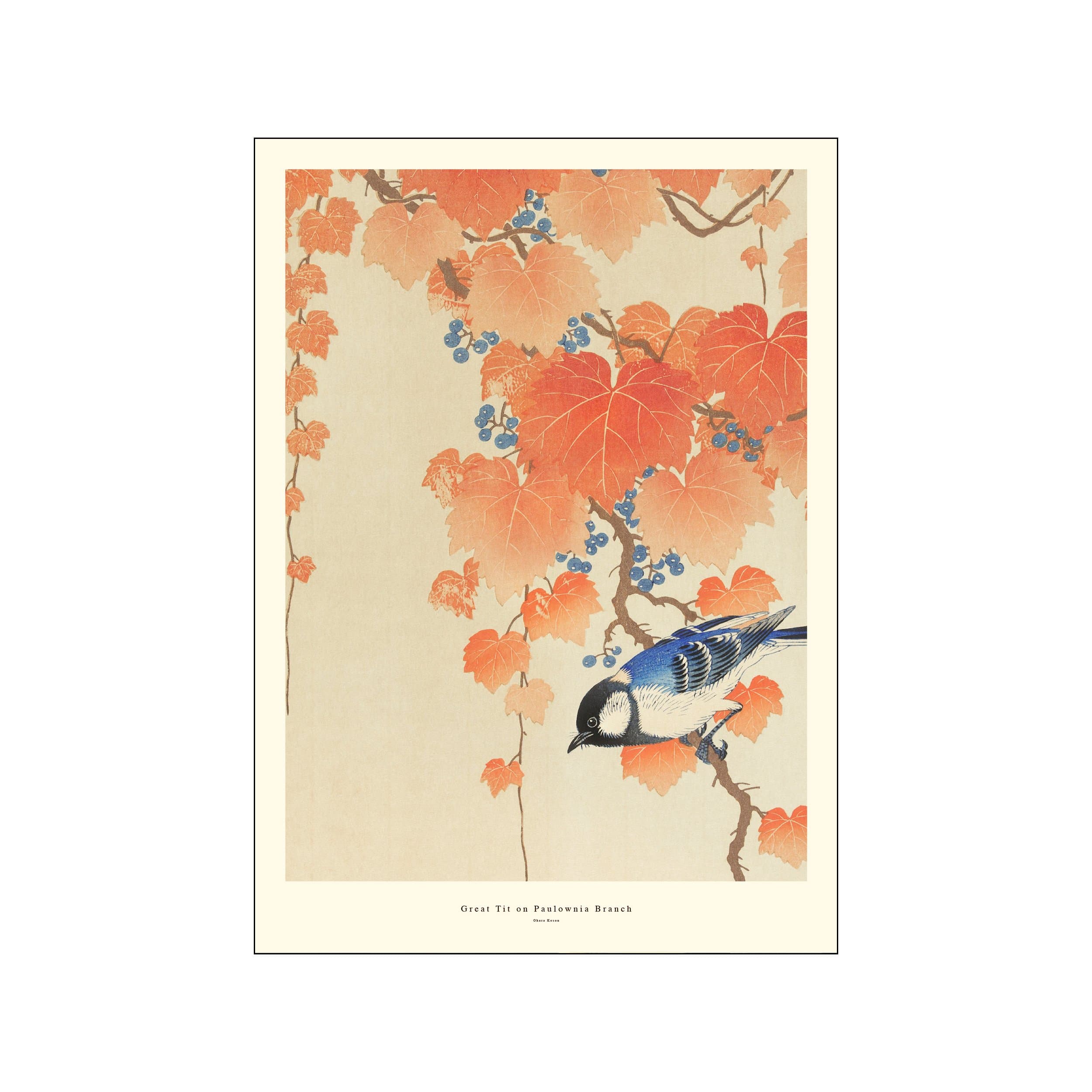 Great tit perched on a paulownia branch among orange leaves and blue berries