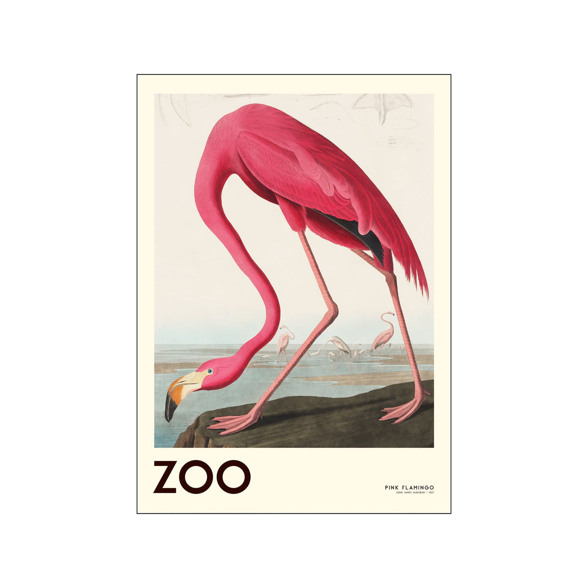 Vivid pink flamingo art print with vintage zoo styling and pale neutral background