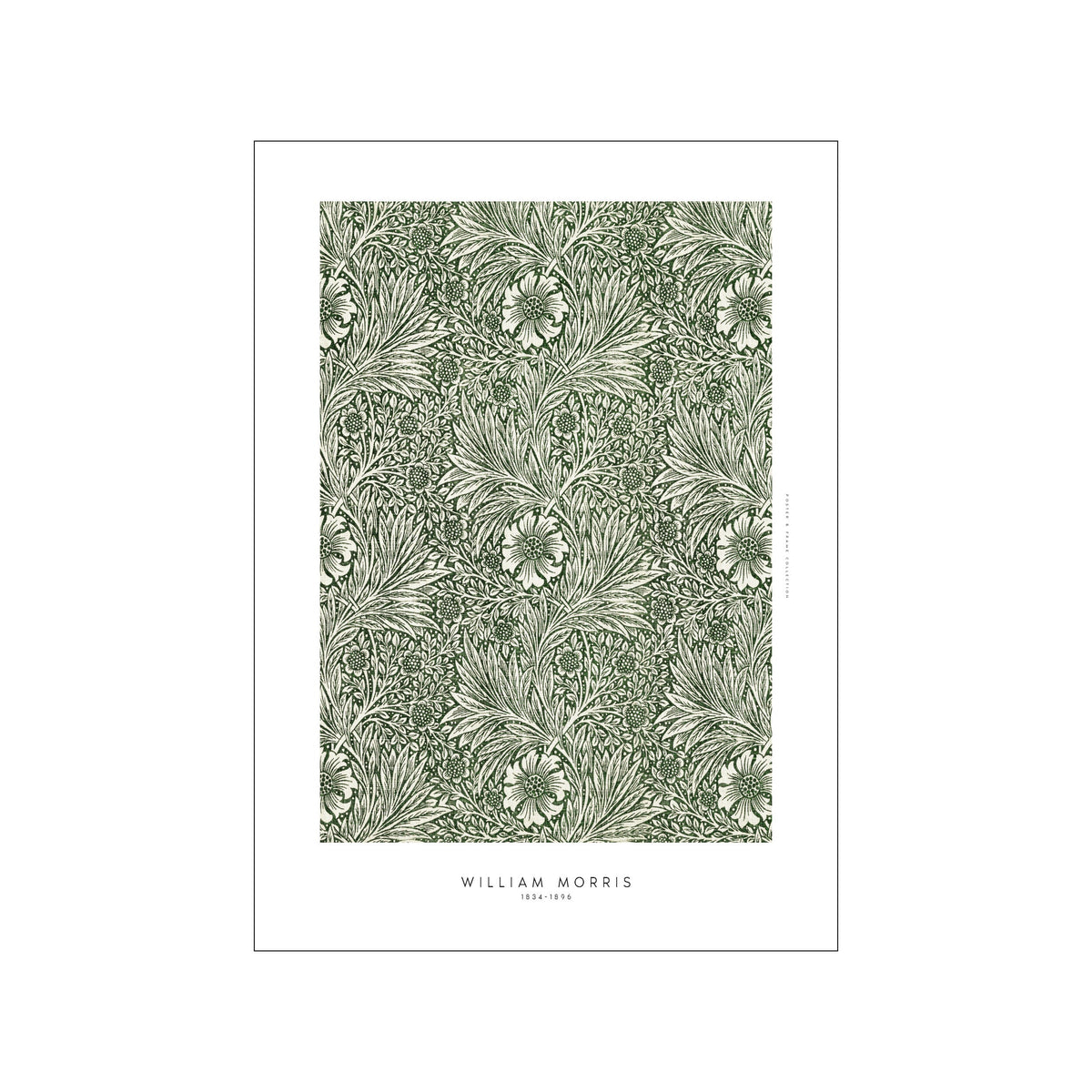 William Morris botanical print with repeating green foliage and cream flowers on a white border
