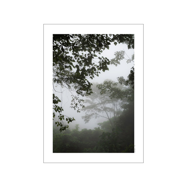 A view into a dense, misty jungle in Bali with dark green foliage in the foreground and softer, blurred trees receding into a soft, gray haze.