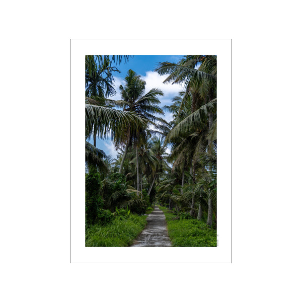 A concrete path winds through a dense jungle of tall palm trees and vibrant green foliage, leading towards a bright blue sky with scattered clouds.