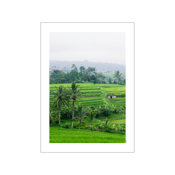 A misty, verdant view of Balinese rice terraces with palm trees in the foreground and a small traditional house on a path, capturing a serene, natural landscape in soft, harmonious greens.