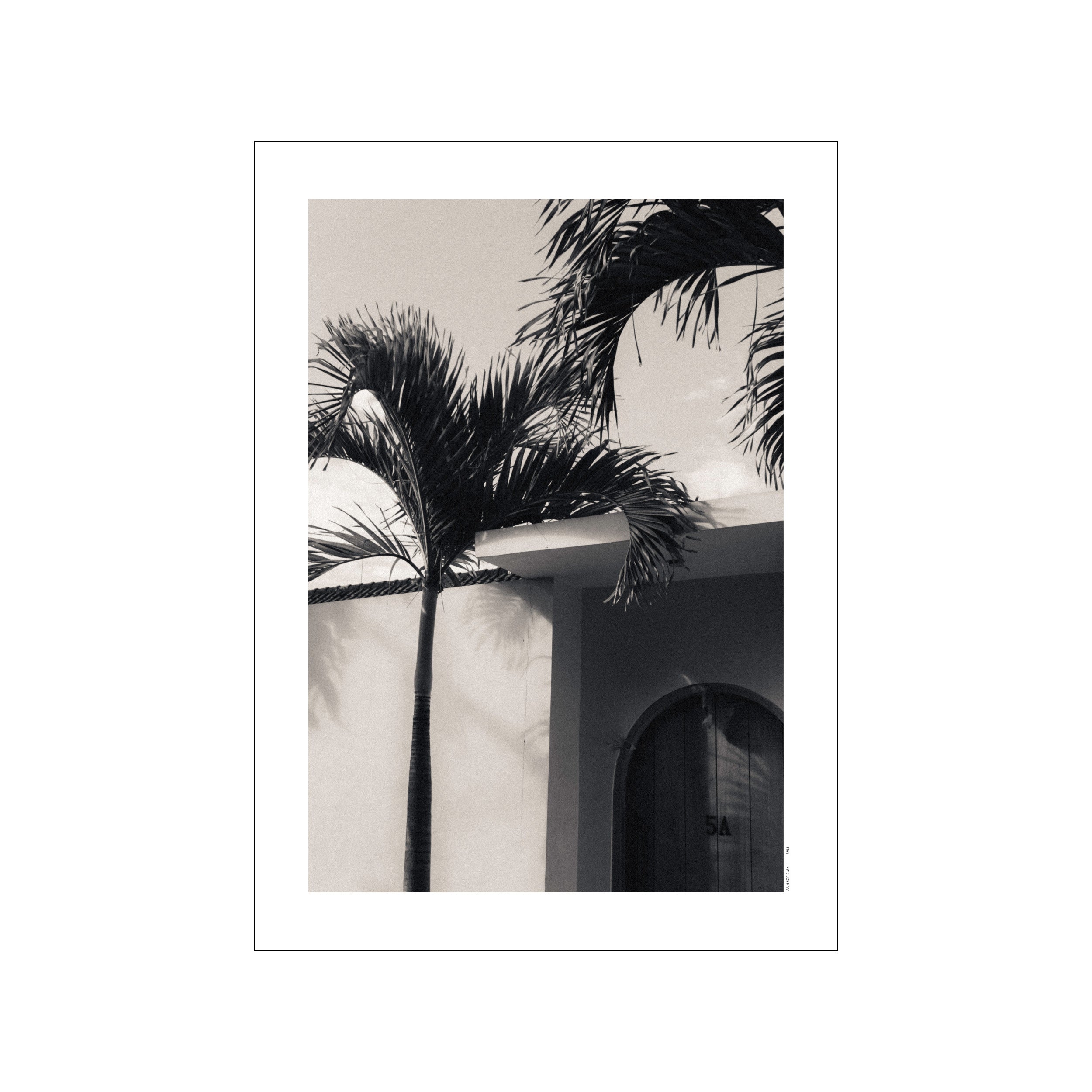 A black and white photograph featuring lush palm fronds gently arching over a textured wall with an arched doorway, evoking a peaceful tropical getaway.