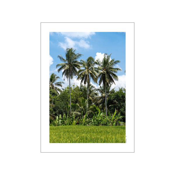A lush tropical scene with tall palm trees and vibrant green rice paddies under a bright blue sky with white clouds. The artwork evokes a peaceful, exotic atmosphere.
