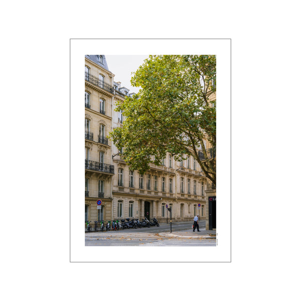 A street scene in Paris with ornate stone buildings, a large green tree overhead, parked scooters, and a pedestrian crossing the street. The mood is quiet and elegant, with a muted color palette.