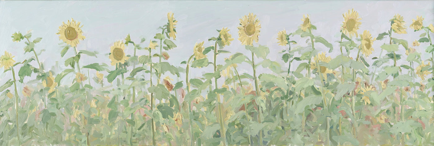 Impression sur toile représentant un champ de tournesols
