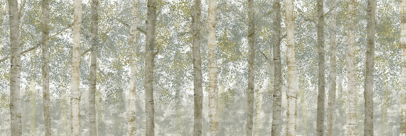 Impression sur toile panoramique de forêt de bouleaux