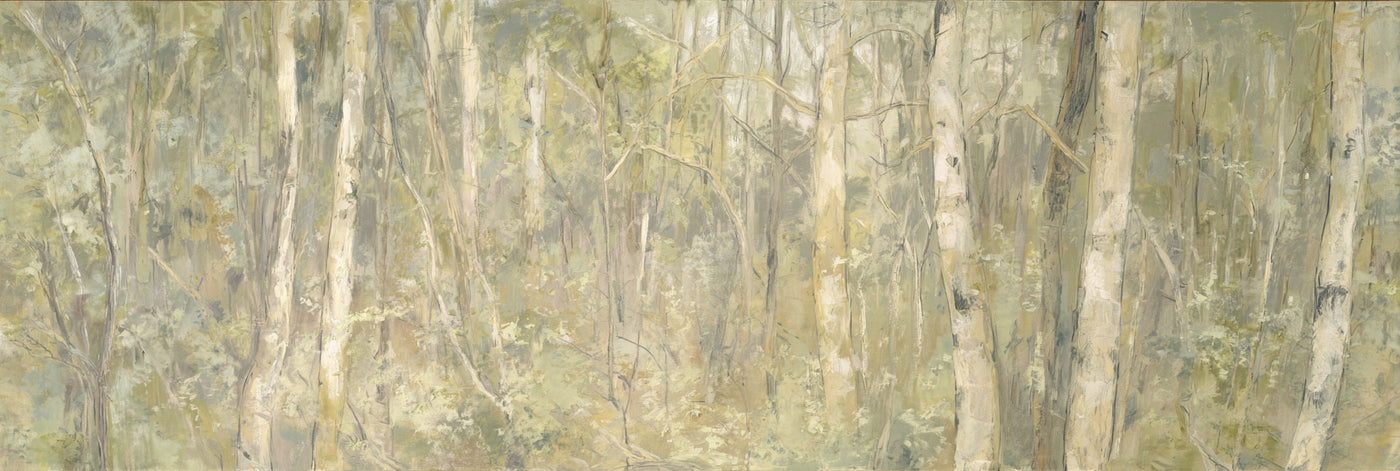 Impression sur toile représentant un paysage de forêt de bouleaux