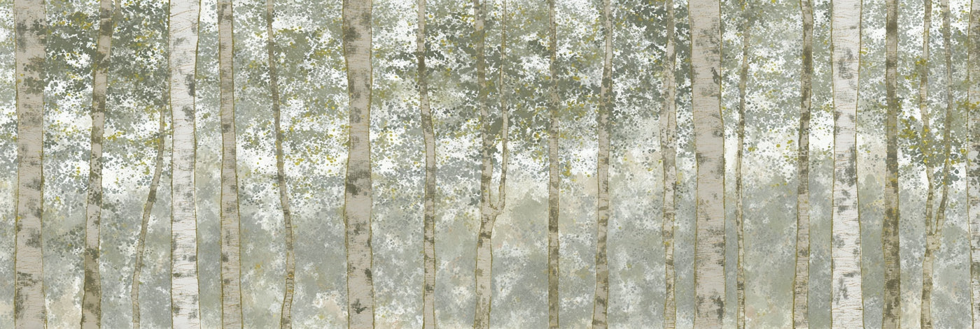 Birkenwald-Landschaftsbild auf Leinwand