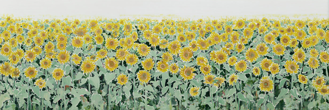Vibrant Sunflower Field Canvas Print