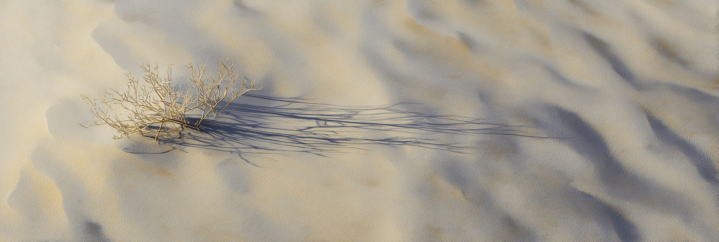 Leinwanddruck „Wüstenbuschschatten“