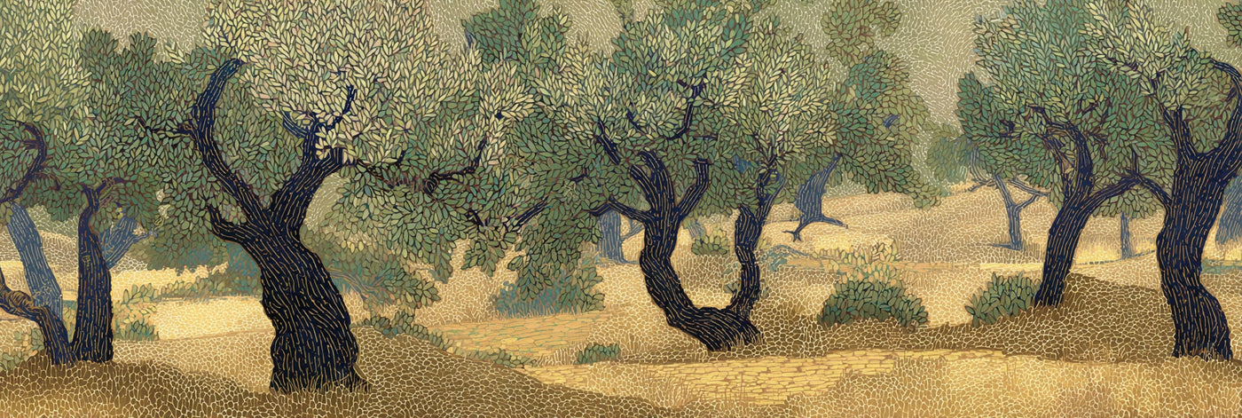 Impression sur toile représentant un paysage d'oliveraie