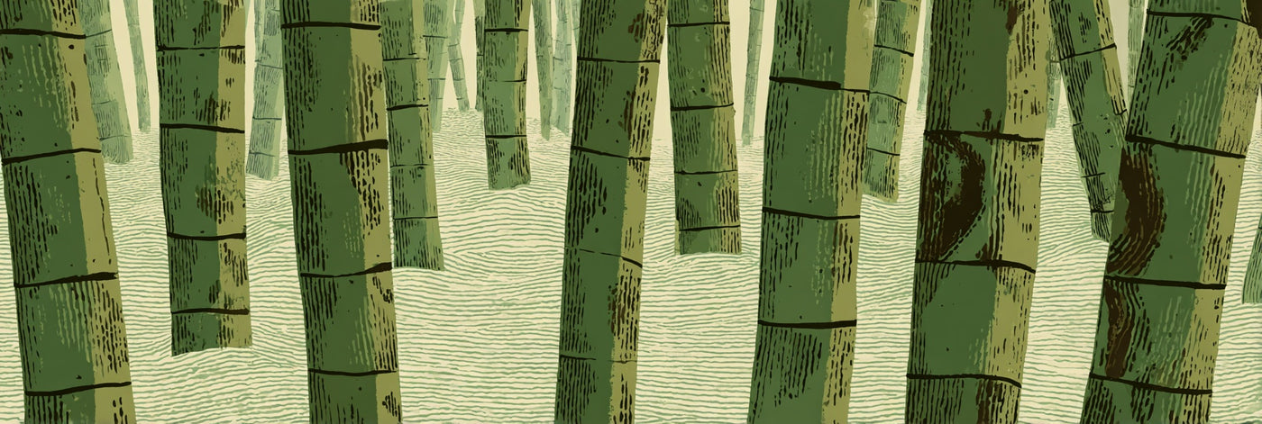 Serene Bamboo Forest Panorama Canvas Print