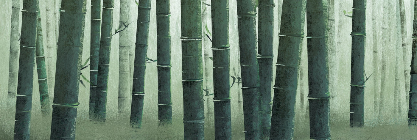 Impression sur toile Forêt de bambous tranquille