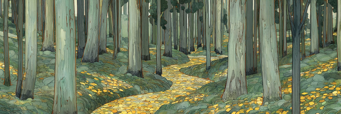 Impression sur toile Chemin forestier ensoleillé