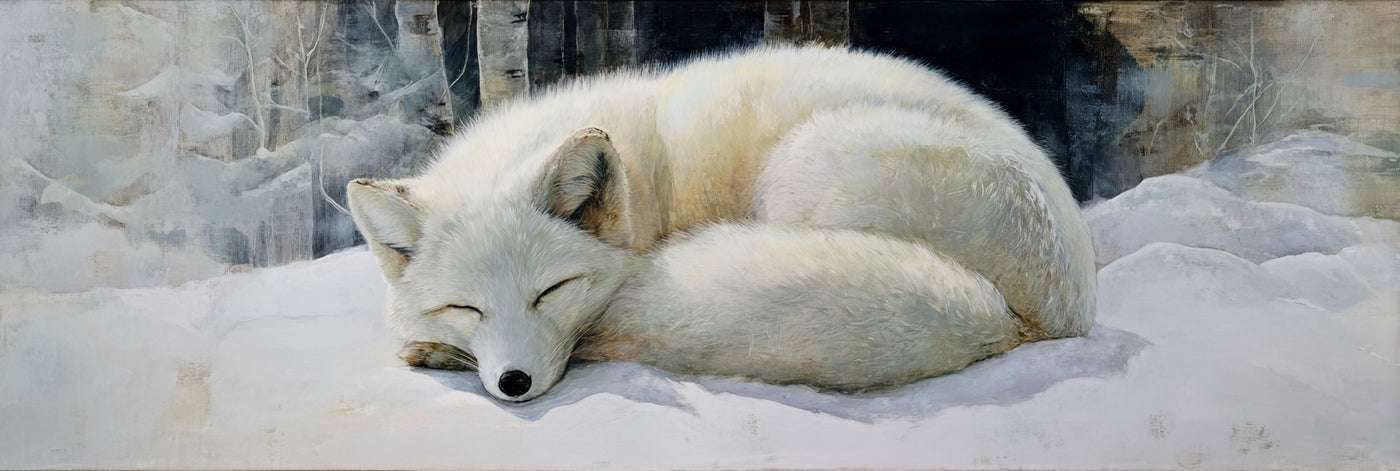 Leinwanddruck „Polarfuchs-Gelassenheit“