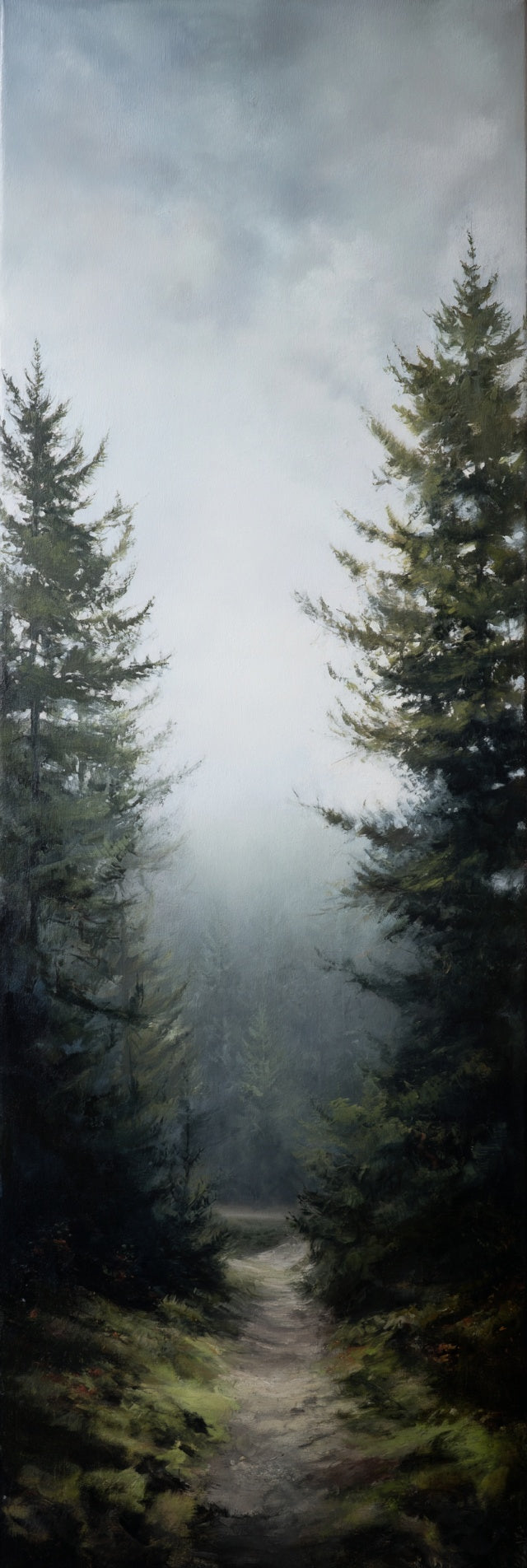 Impression sur toile Chemin forestier brumeux