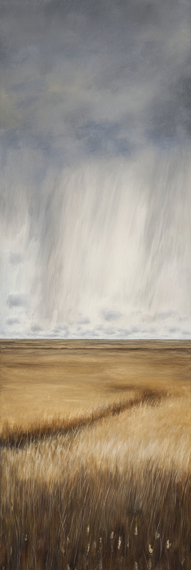 Golden Field Rain Canvas Print